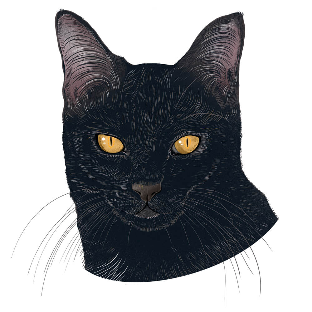 Ada-Portrait