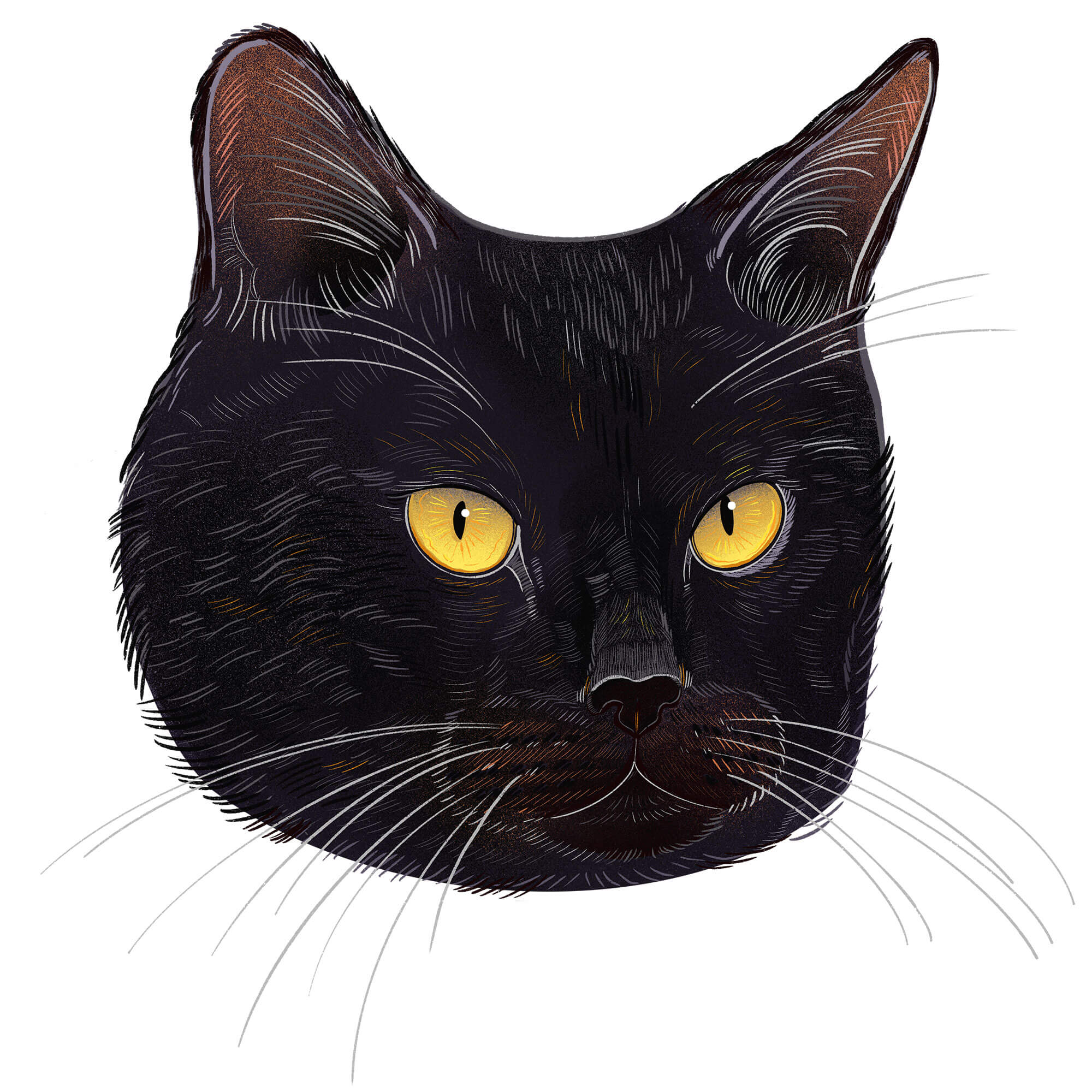 Boris
