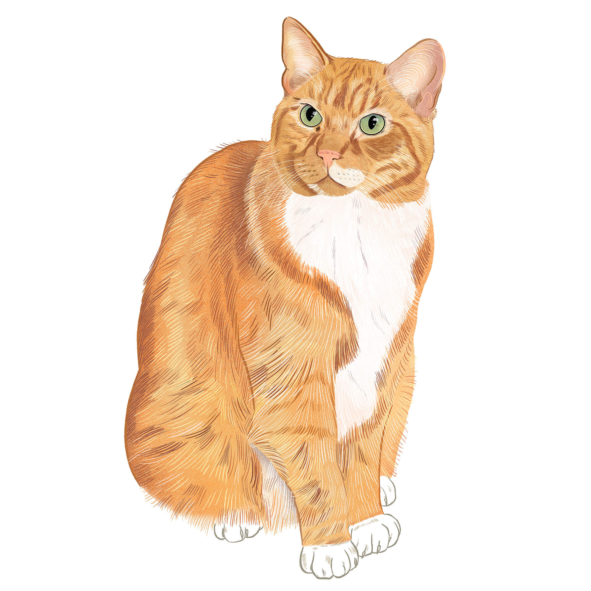 Mittens