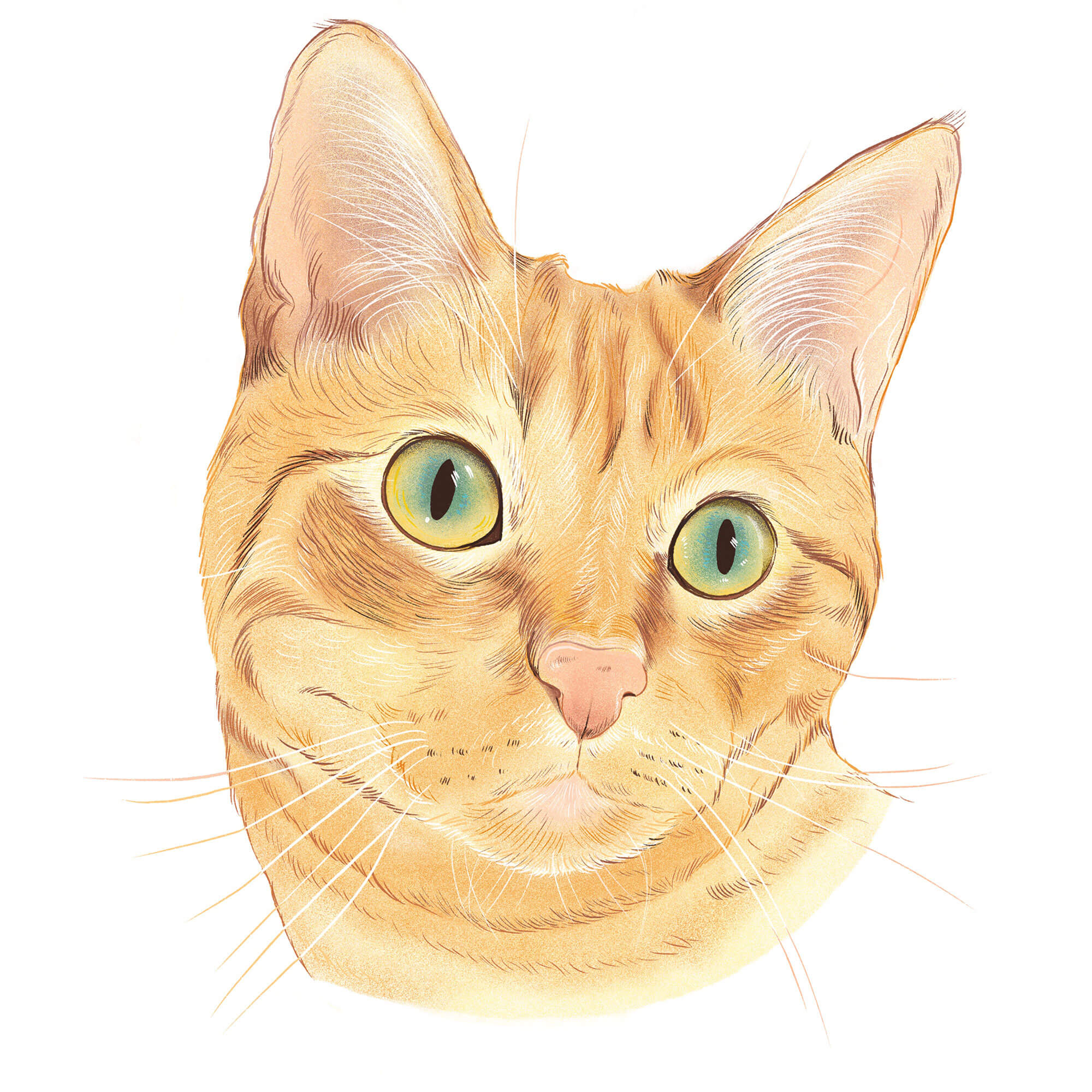 Phineas
