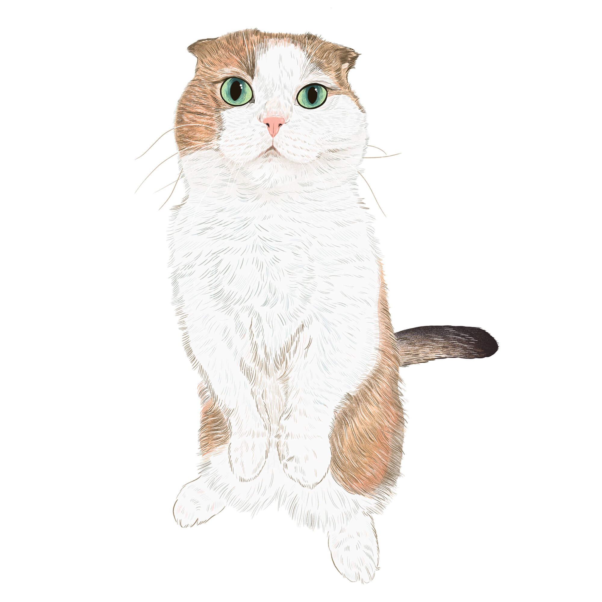 Socrates_Portrait