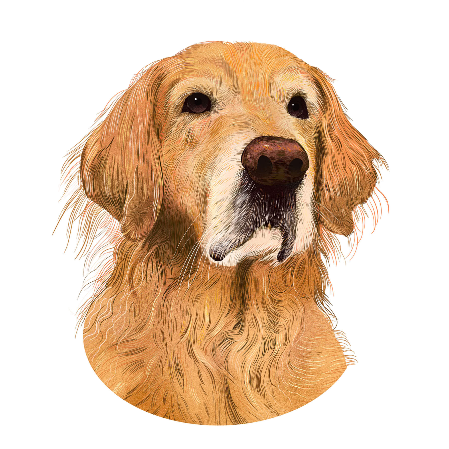 Daisy Portrait