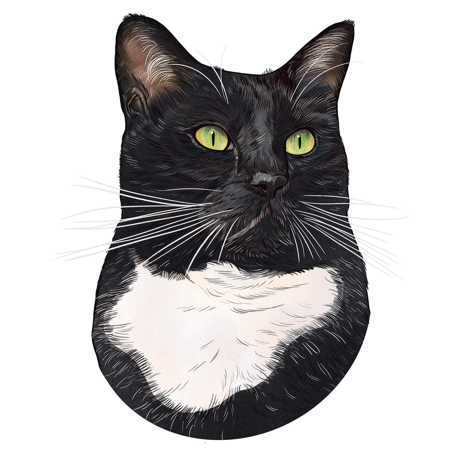 Mochi Portrait