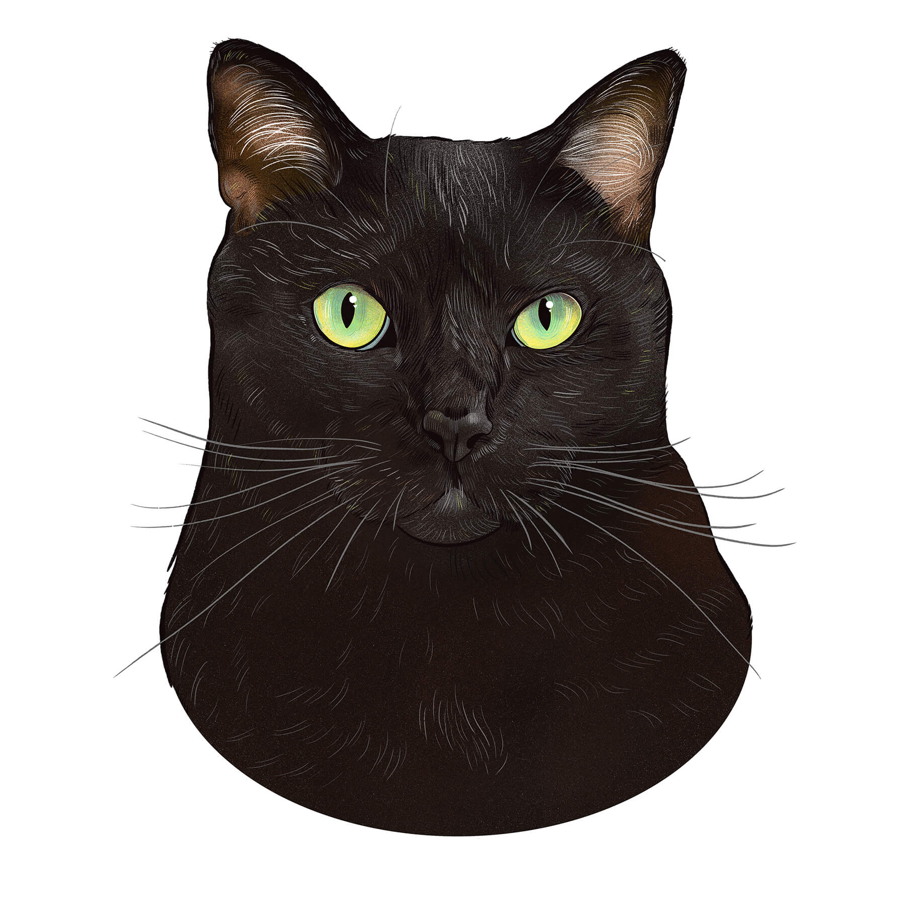 Sesame Portrait